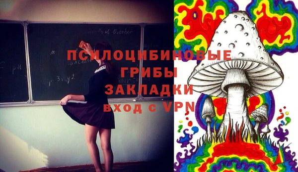 Альфа ПВП Горнозаводск