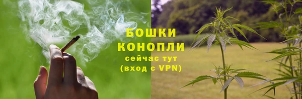 дмт Горно-Алтайск