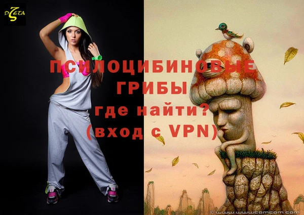 дмт Горно-Алтайск